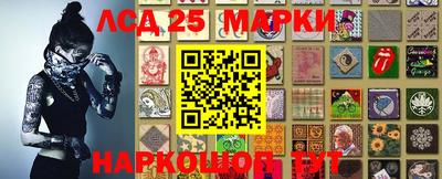 шишки Ставрополь