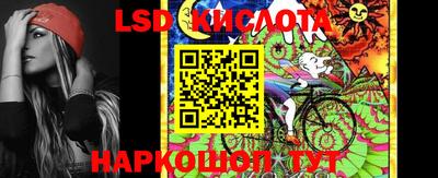 шишки Ставрополь