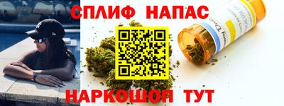 шишки Ставрополь